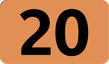 Bus 20